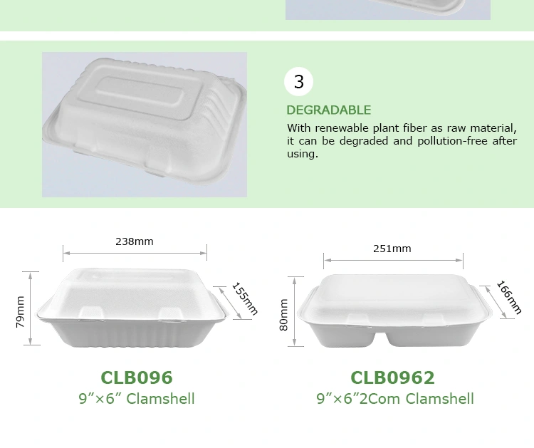 CLB96new_04.jpg