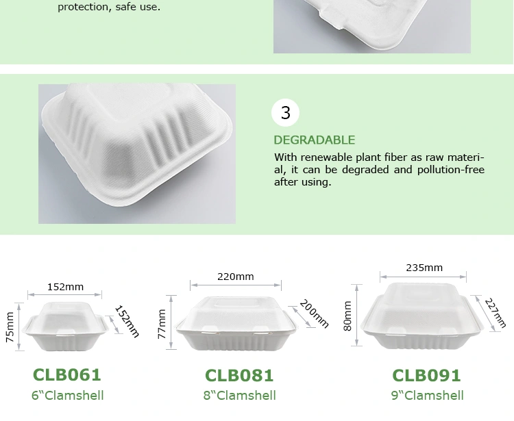 clb61new_04.jpg