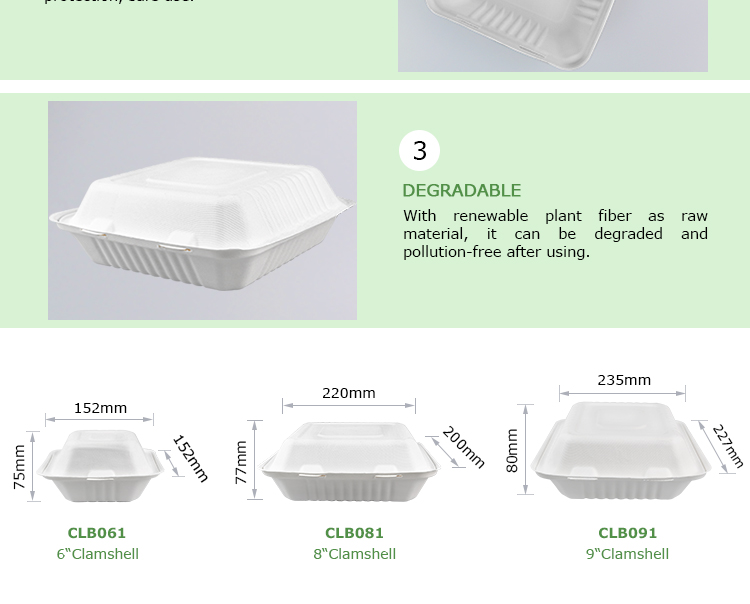 CLB81new_04.jpg