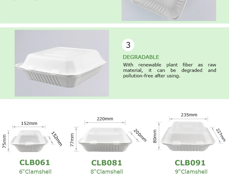 CLB91new_04.jpg