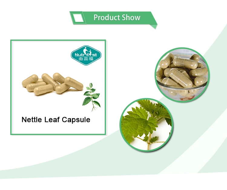 nettle-leaf-capsule-_02