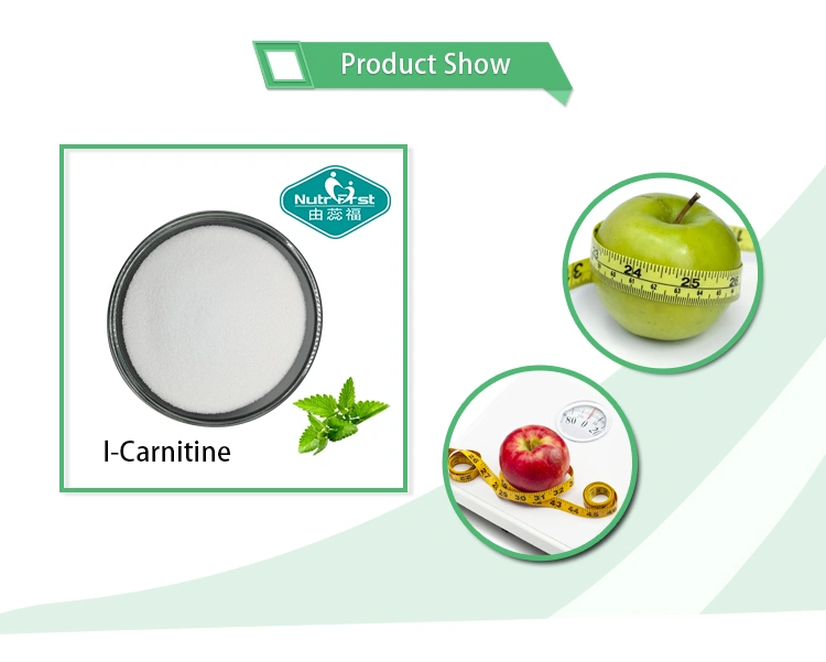 l-Carnitine_02.jpg