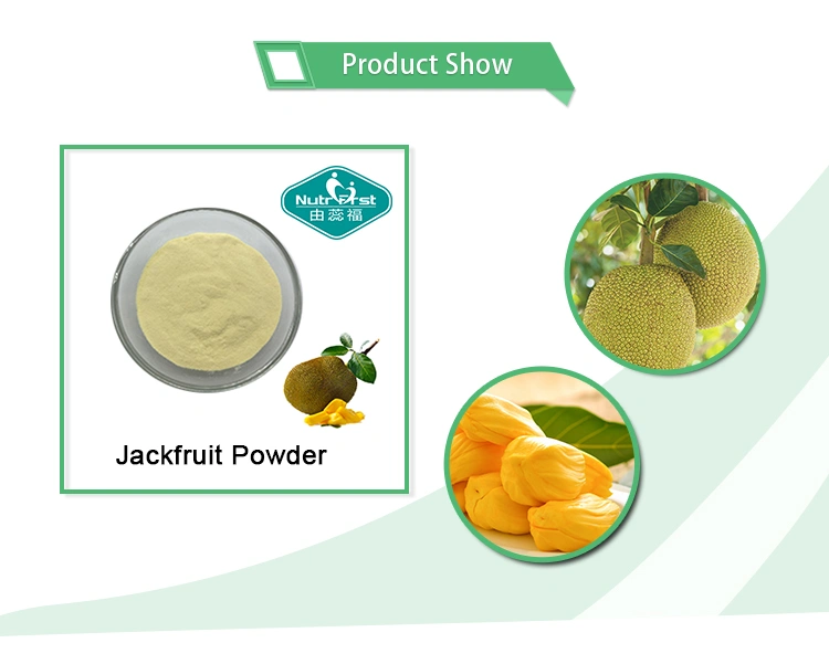 Jackfruit_02