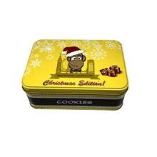Metal Hinged Top Tin Box Containers Rectangular Empty Portable Mini Storage Case Box with Lid