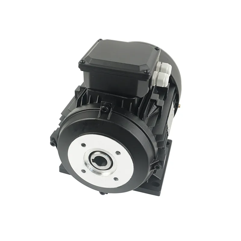 5.5kw Premium Efficiency Motor for pressure washer machine