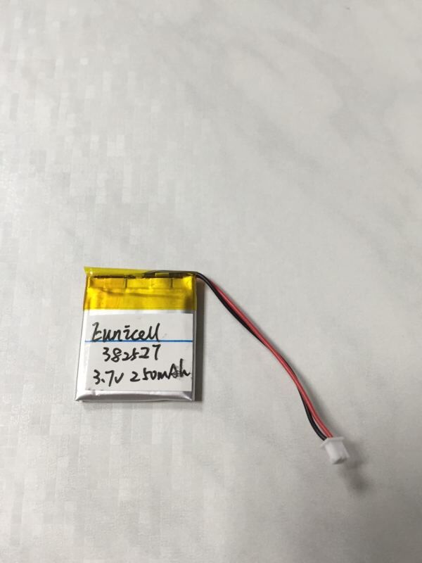 382527 battery sample_1.jpg