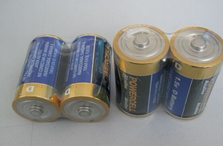 LR20 D battery.jpg