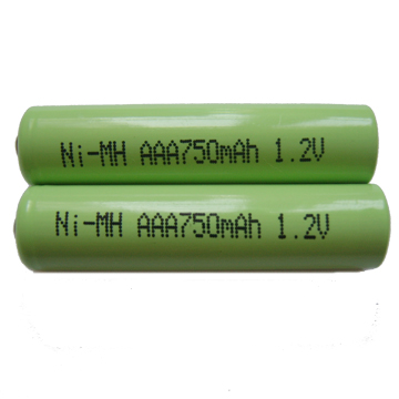 AAA 750mah_Eunicell.jpg