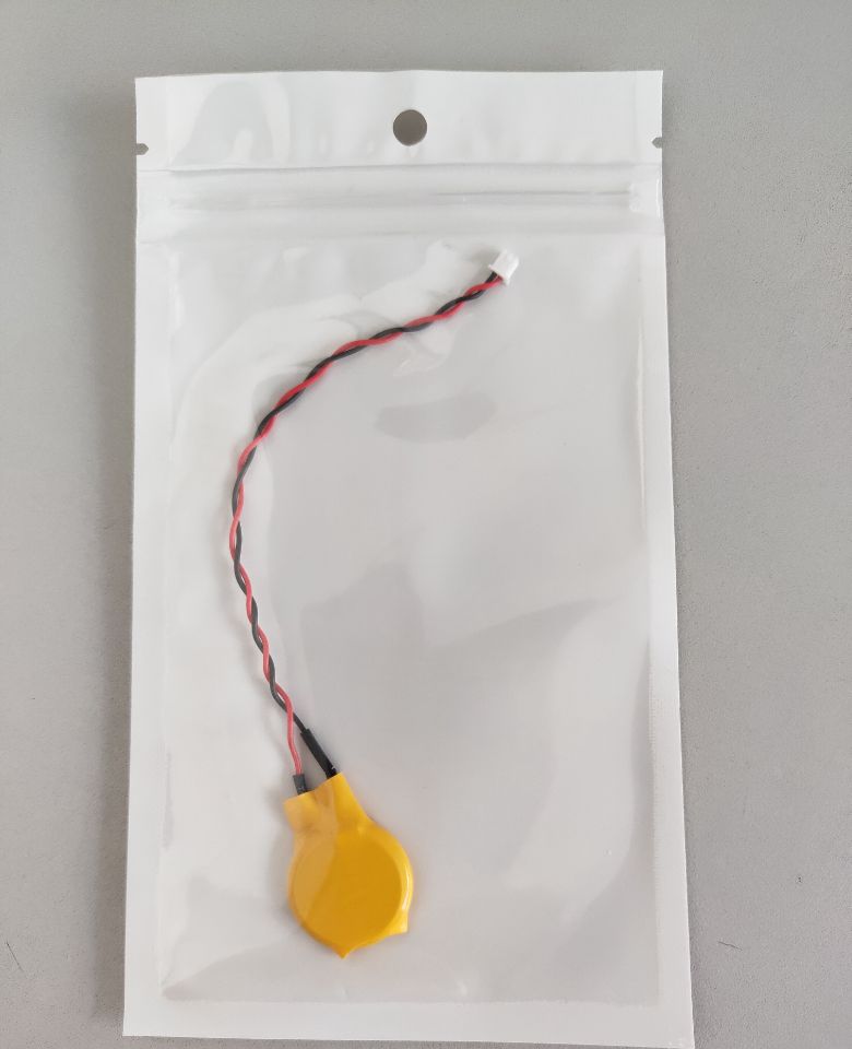 CR2032 in PP bag-2019.12