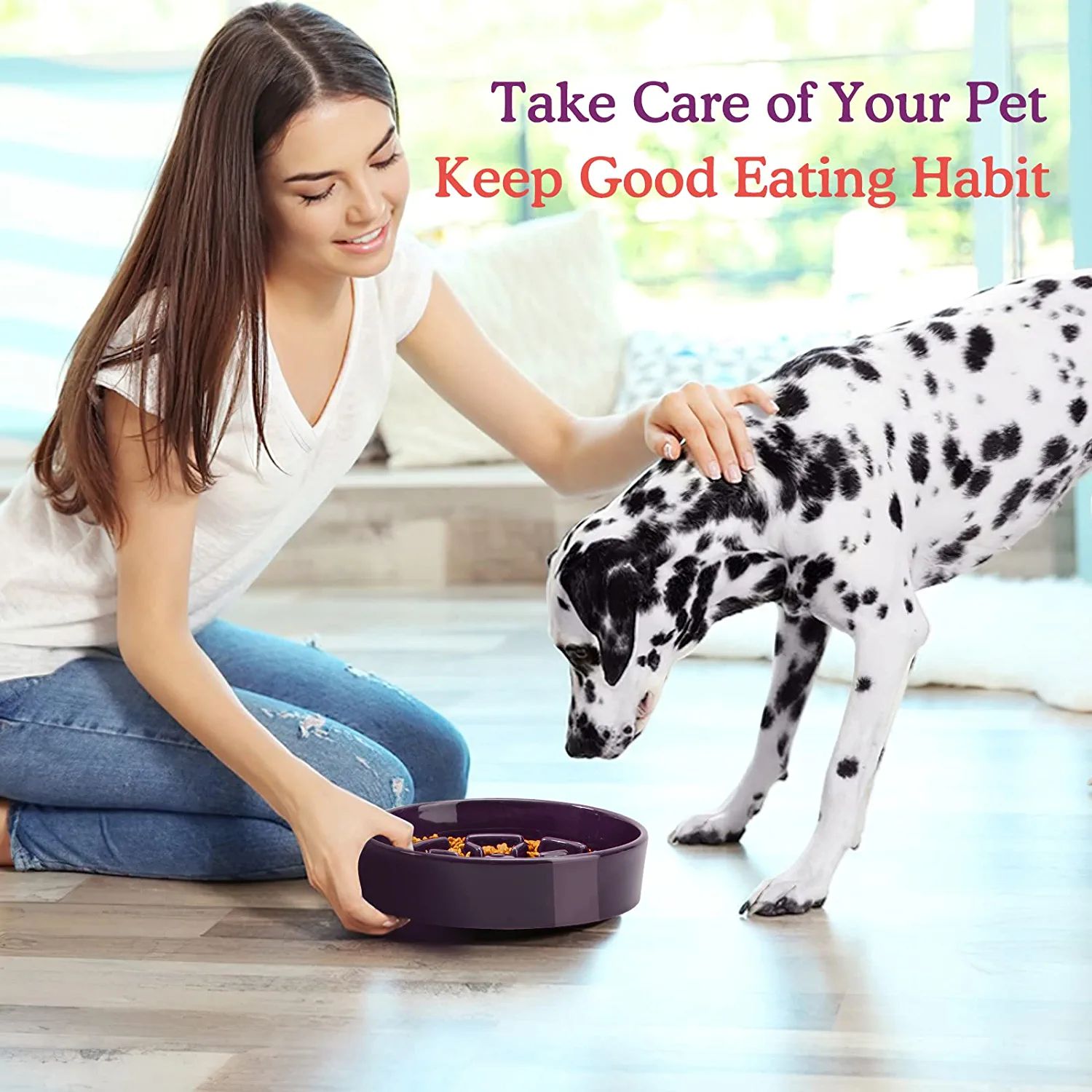 Ceramic Anti Gulping Slow Eating Bowl manufacturer