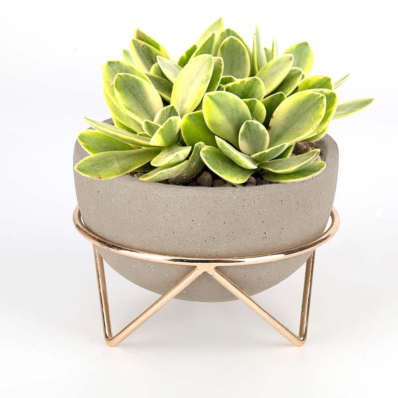 Round Terrazzo Cement Flowerpot Manufacturer