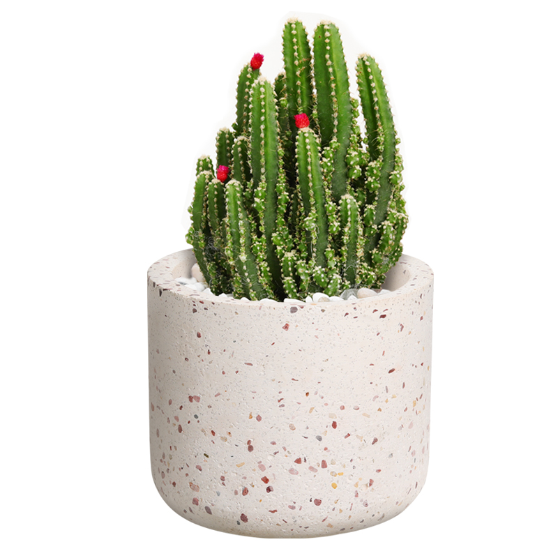 White Terrazzo Outdoor Planter Manufacturer