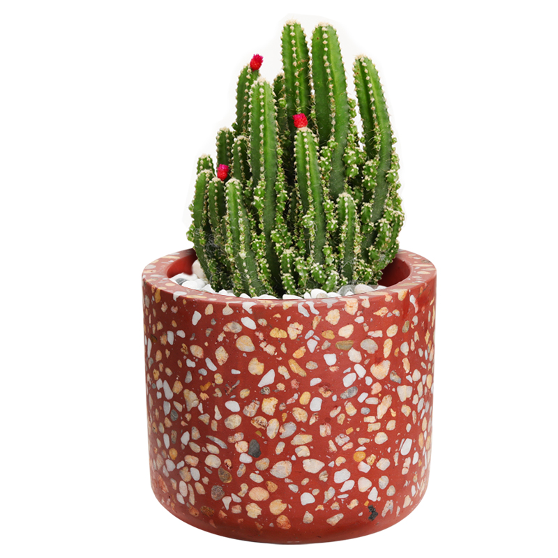 Flower Pot Cactus Planter Manufacturer