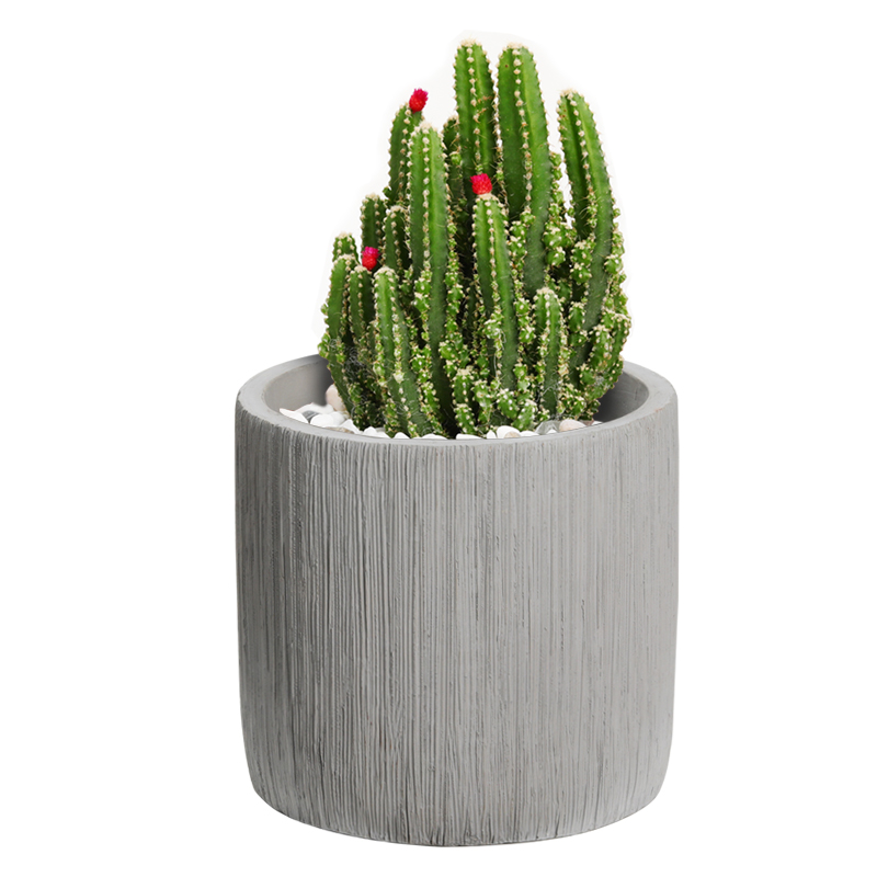 Concrete Terrazzo Flower Planter Manufacturer