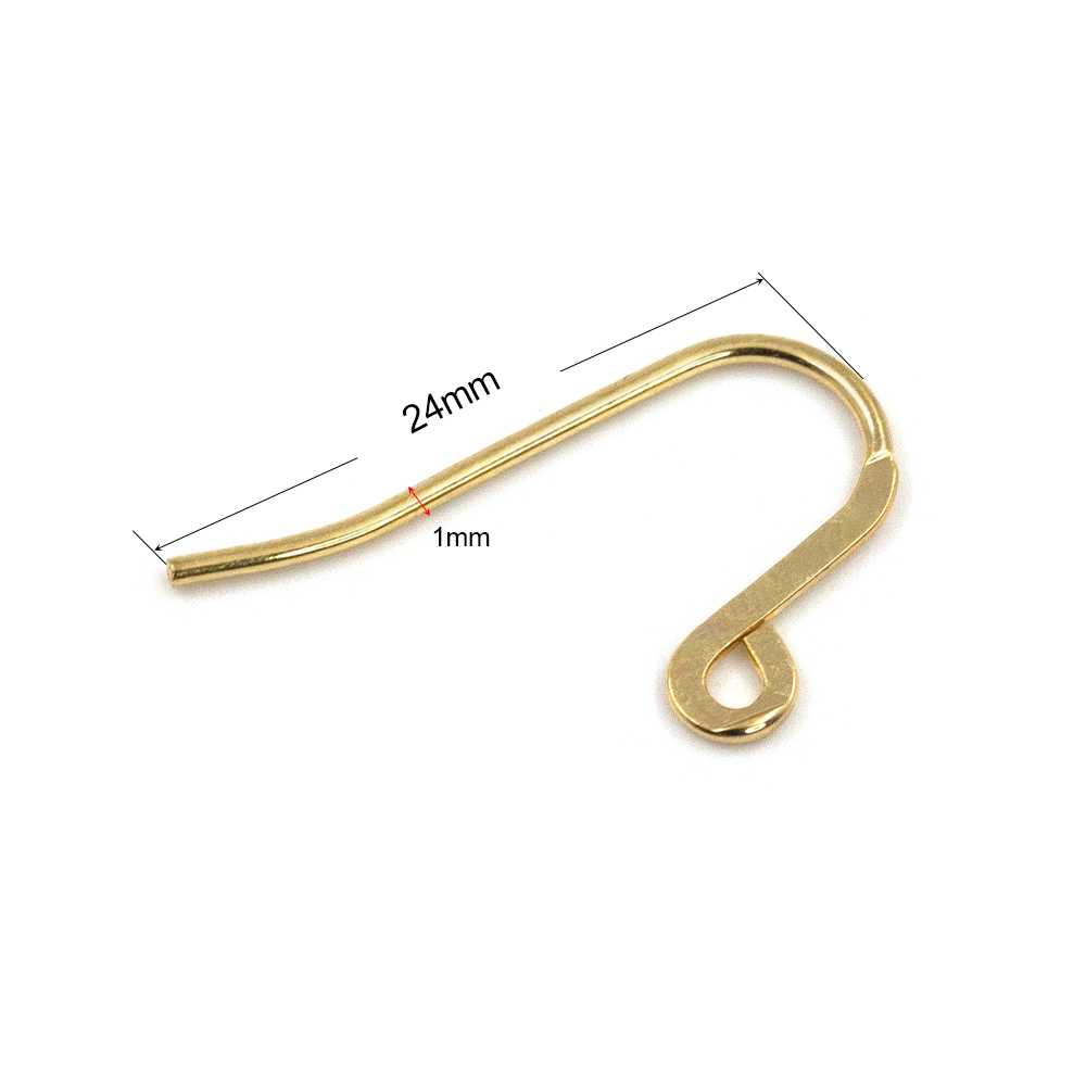 Earring Hook