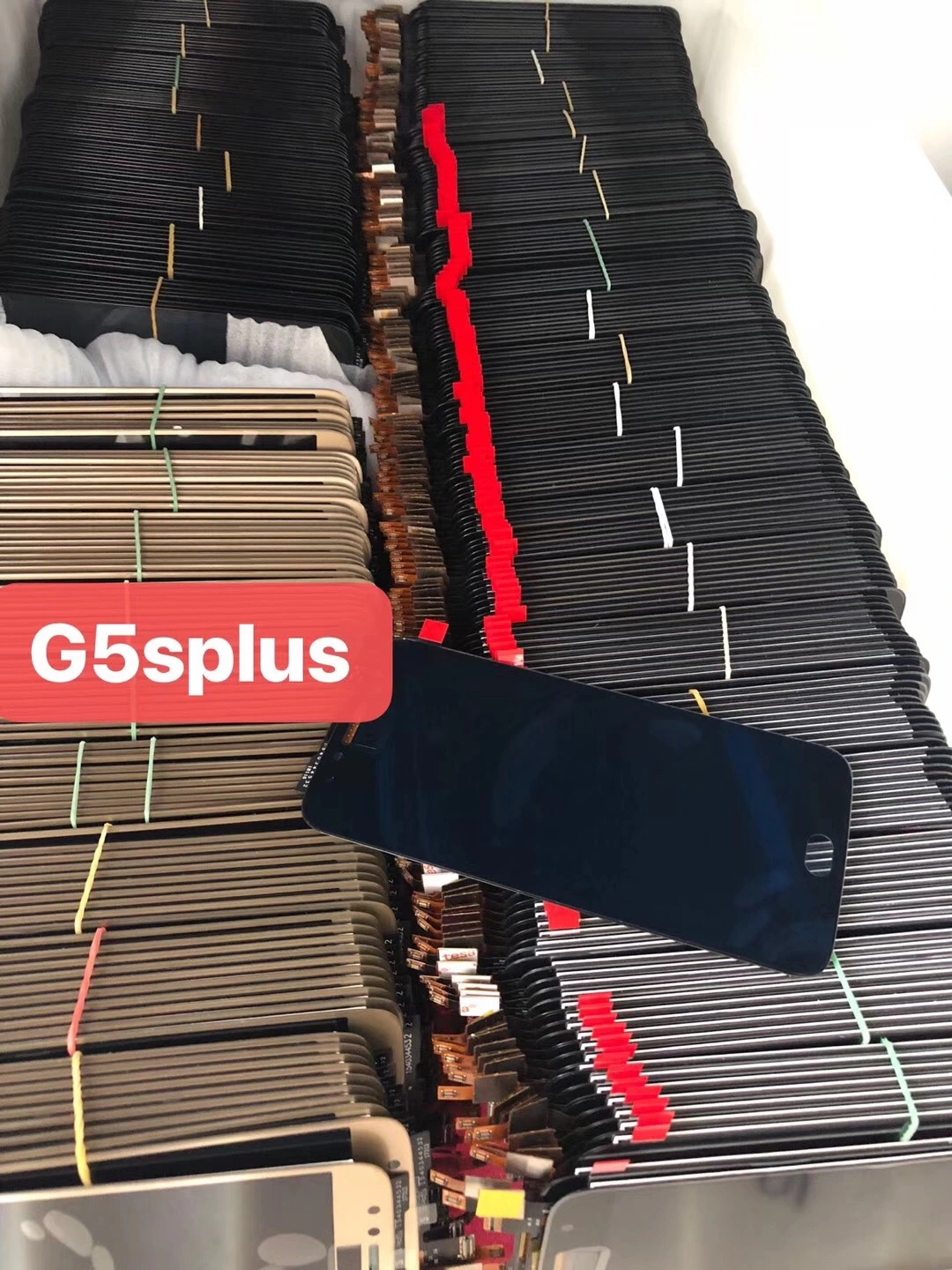 G5S PLUS.jpg