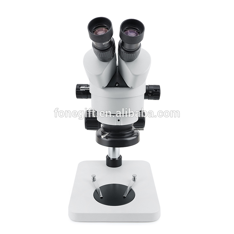 microscope-008 (2)
