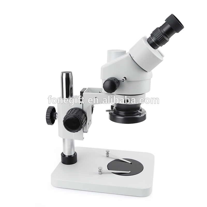 microscope-008 (1)