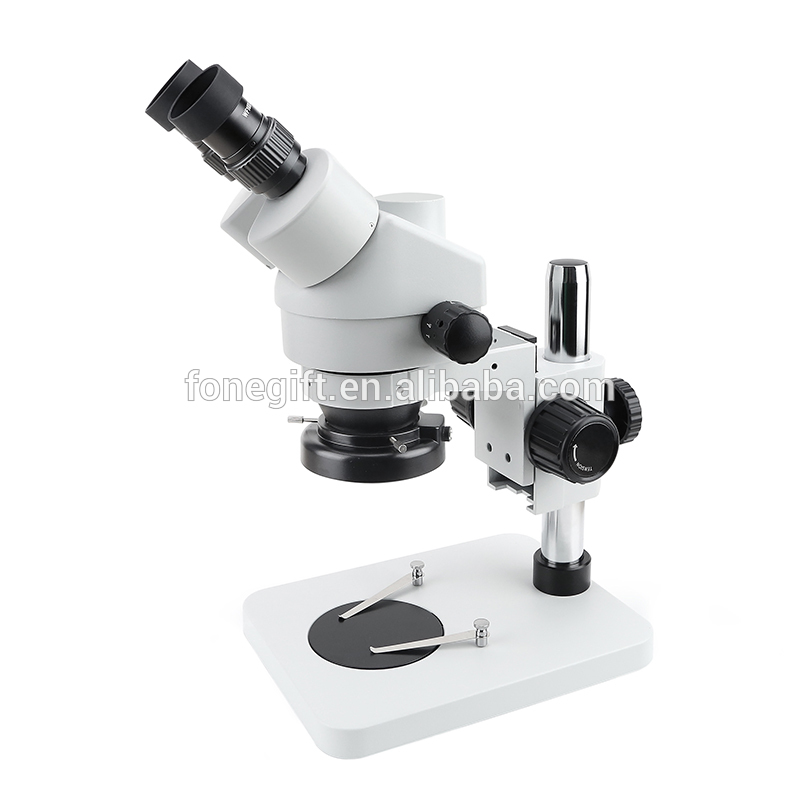 microscope-008 (3)