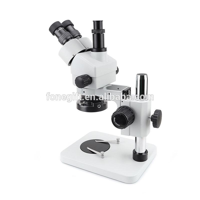 microscope-008 (4)