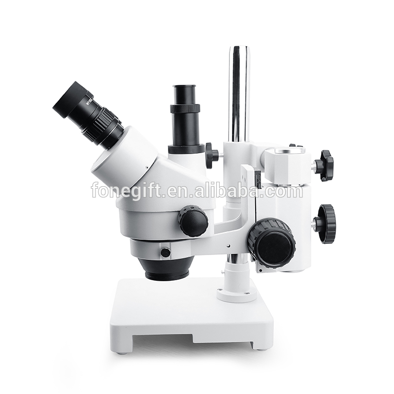 009t (3)