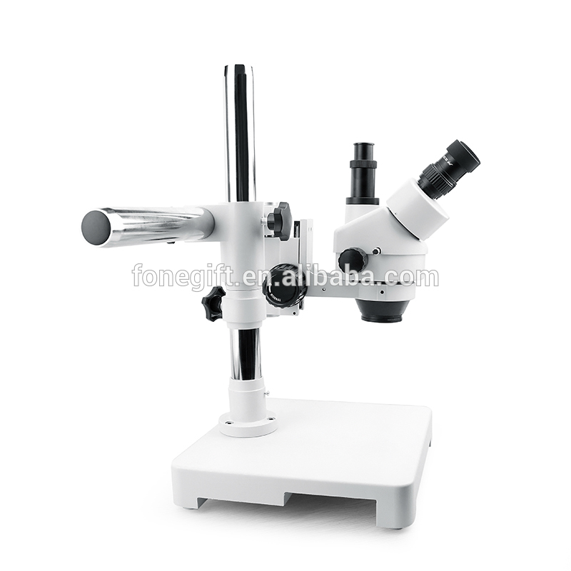 009t (2)