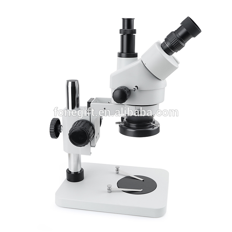 008T (1)