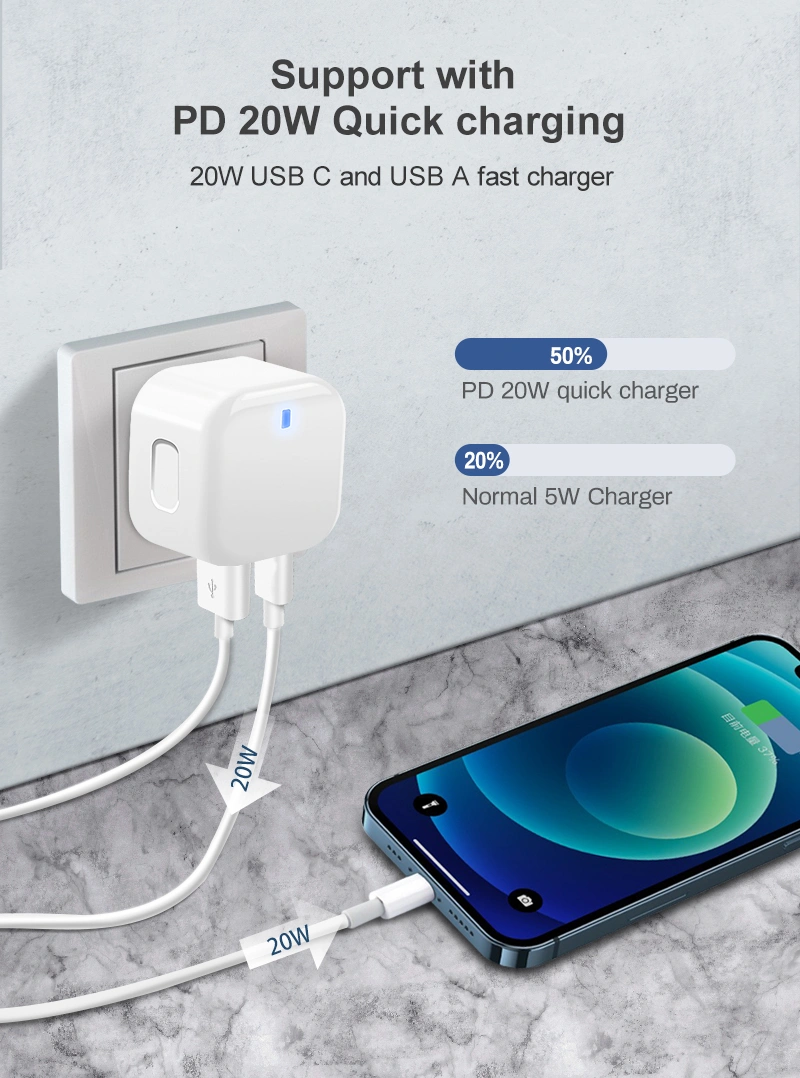 Fast Charger