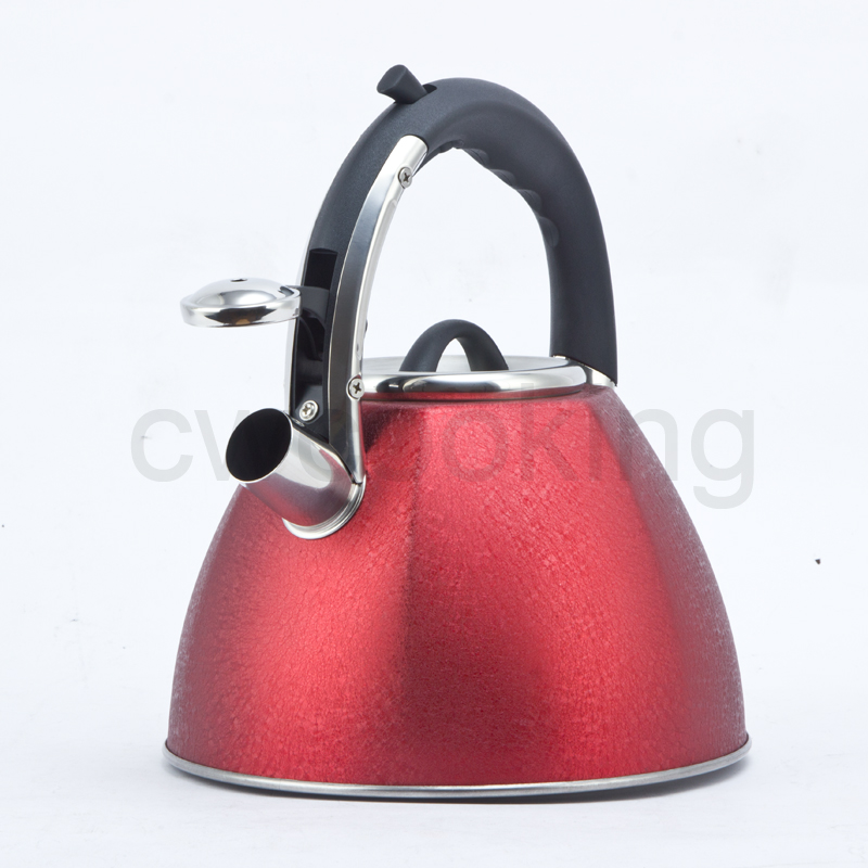 CW-T081-B1-2.jpg
