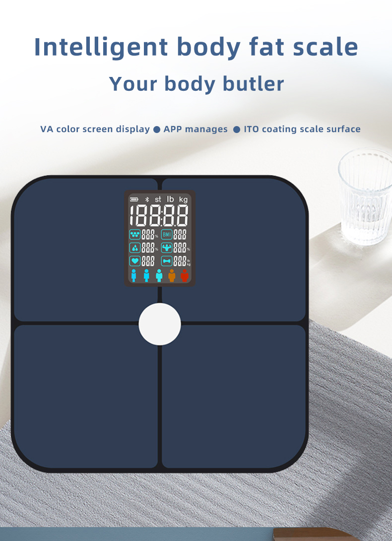 intelligent body fat scale