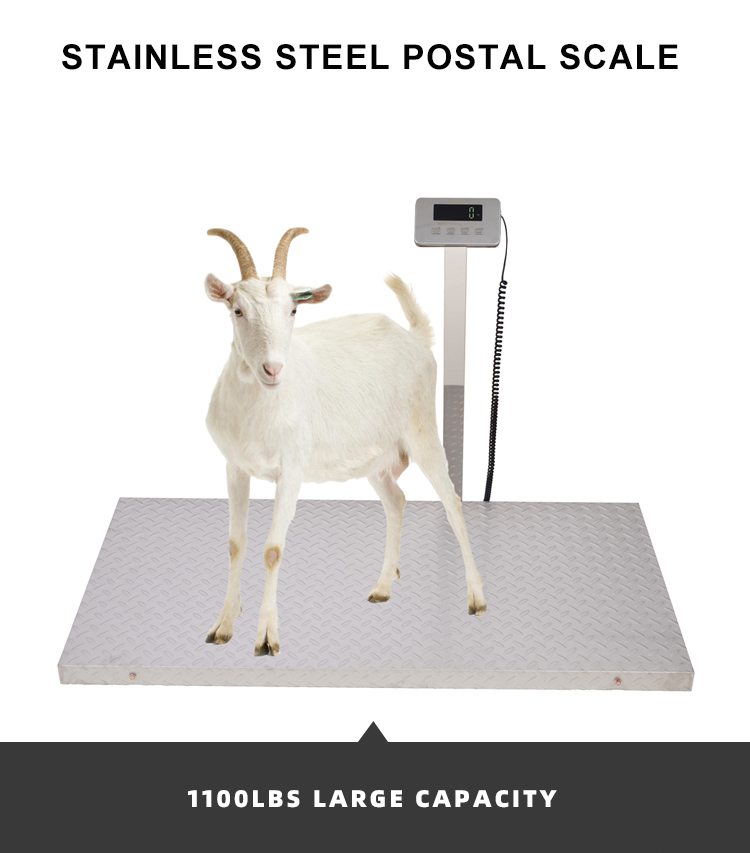 High Accuracy Stainless Steel Postage Scale
