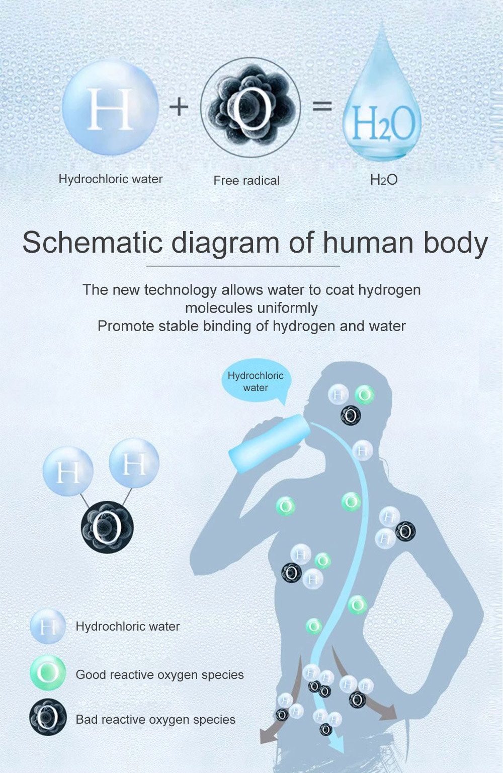 Hydrogen Water Cup