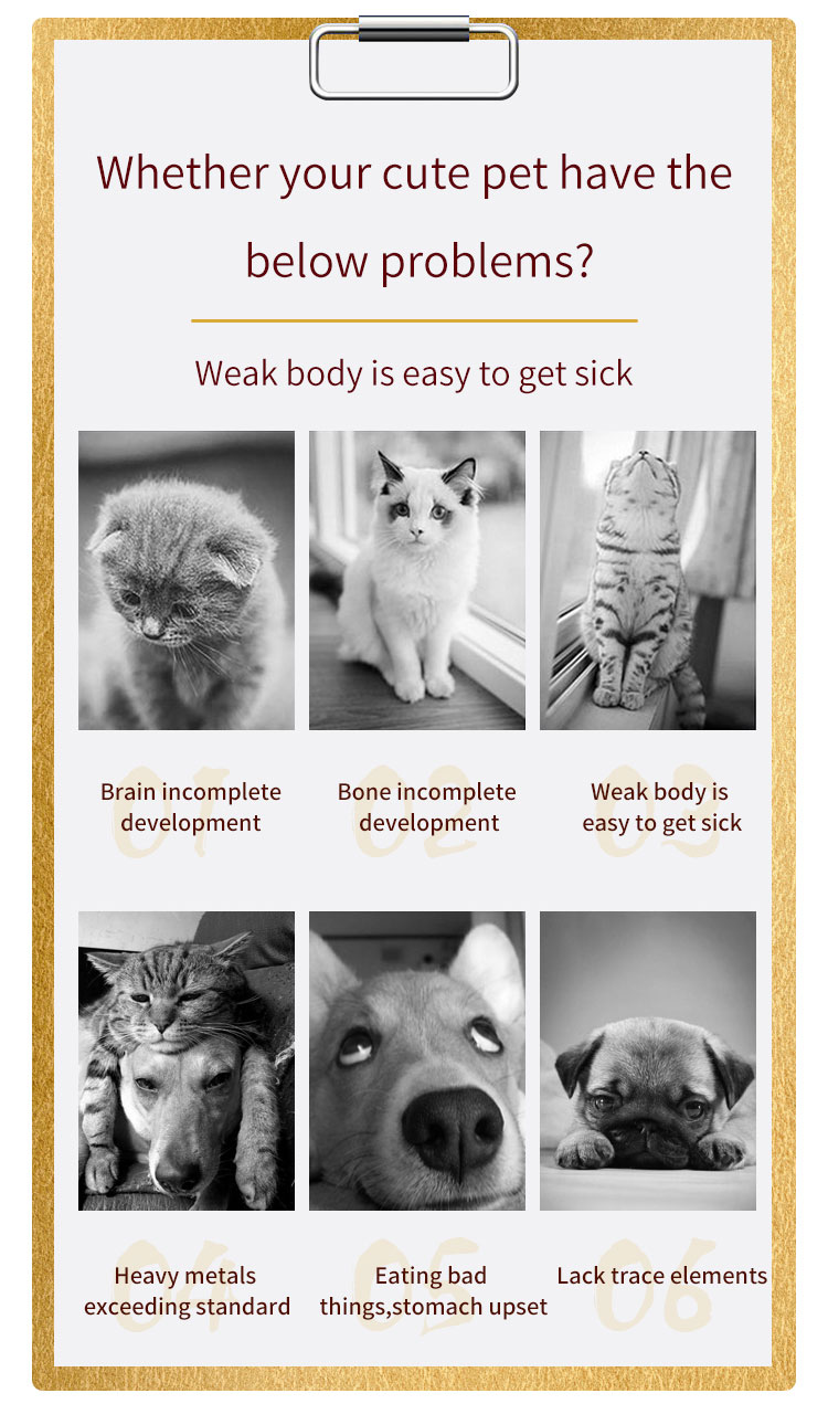 Animal Health Diagnosis