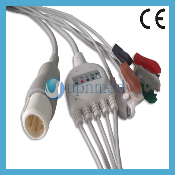 GEDC46091.jpg