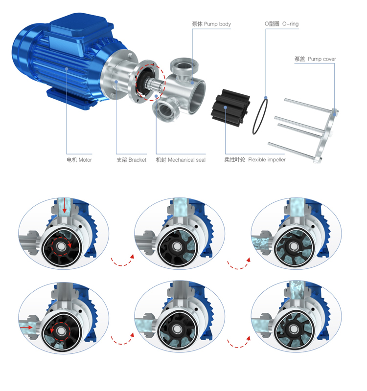 solid transfer pumps