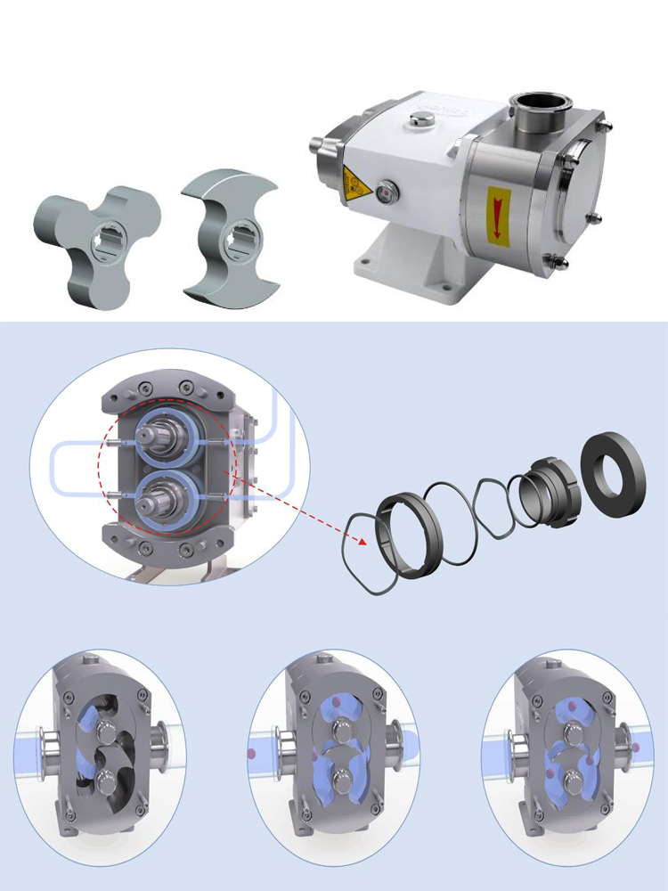 stainless steel lobe rotary pump