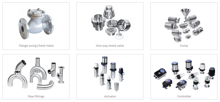 ss304 ss316 non-return valve