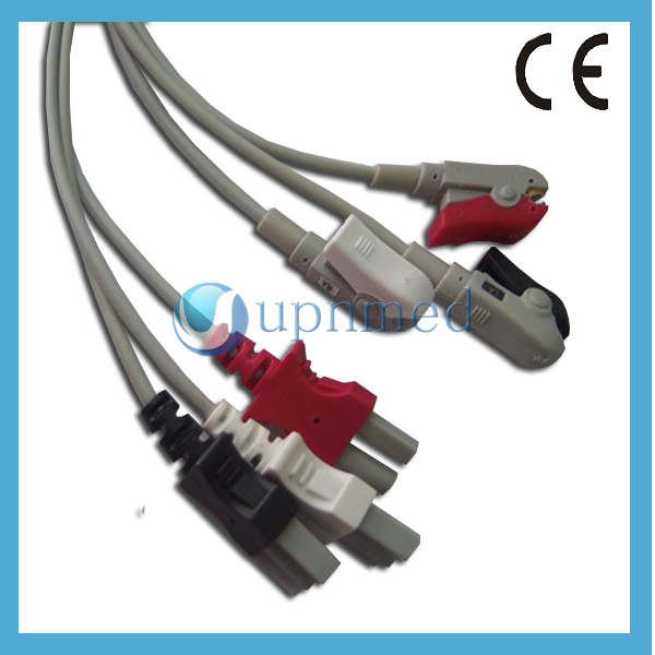 GEDC48421.jpg