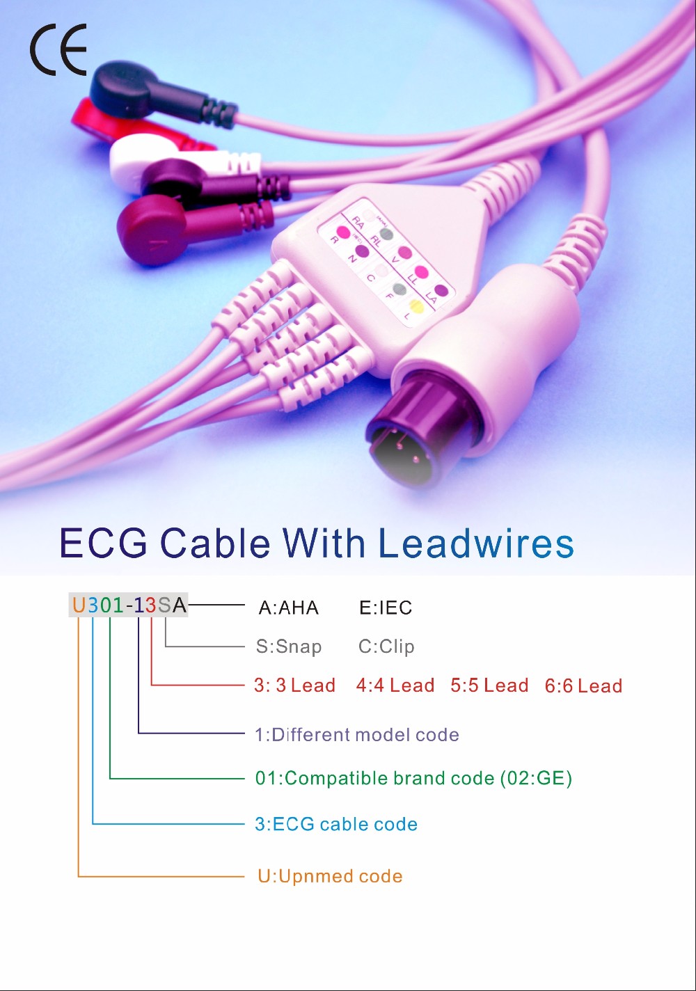 ECG1.jpg