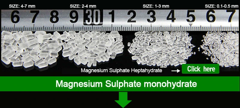 fertilizer Magnesium sulphate monohydrate