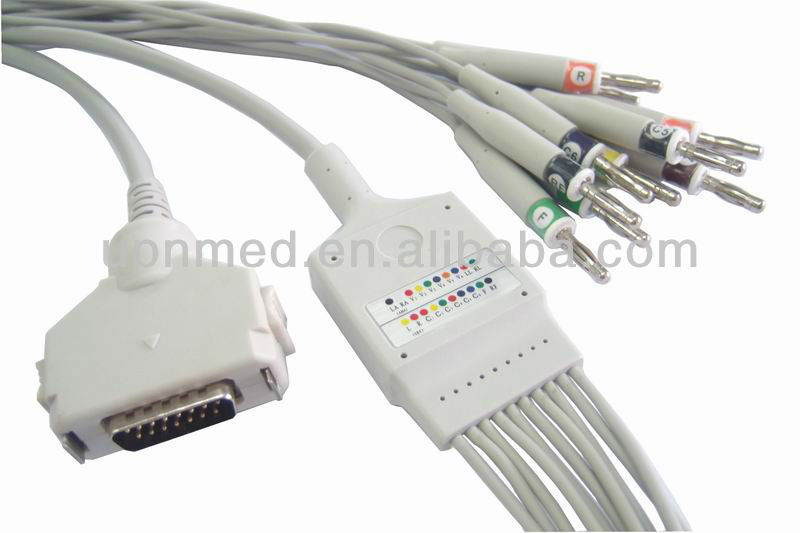 GEDC5731.jpg