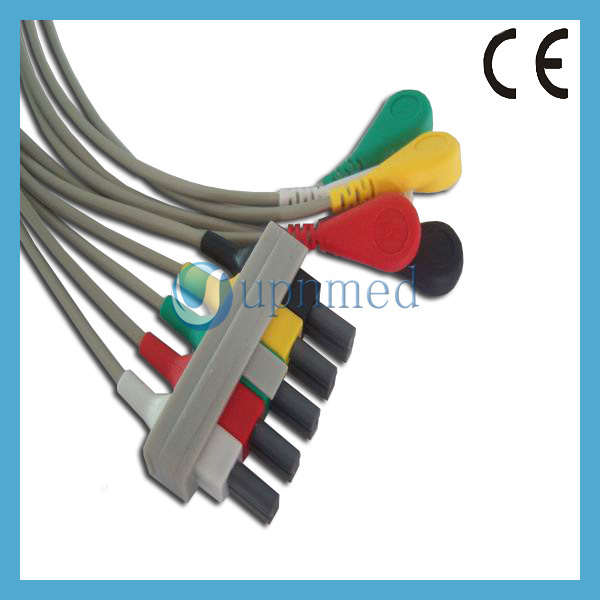 M11615A 5 Leads Snap,AHA.jpg