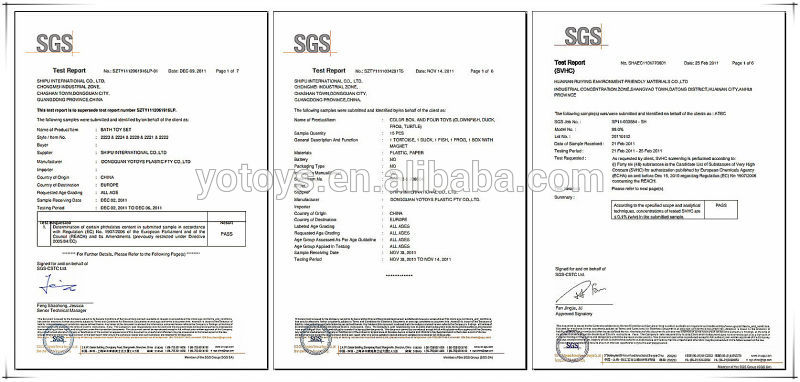 certificate.jpg