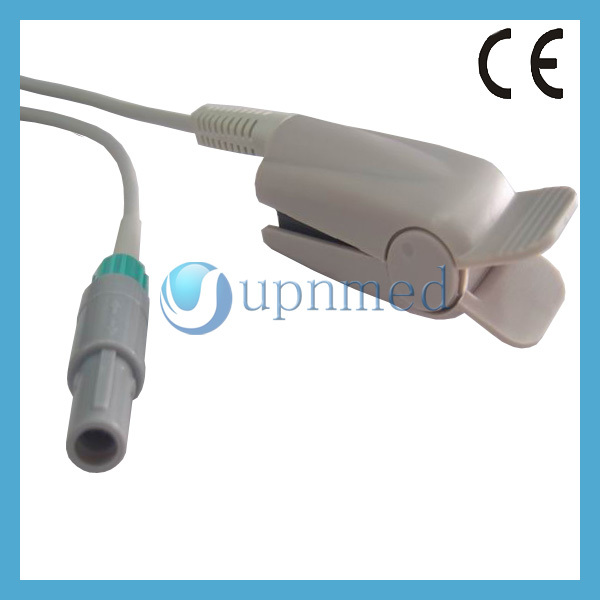 GEDC72631.JPG