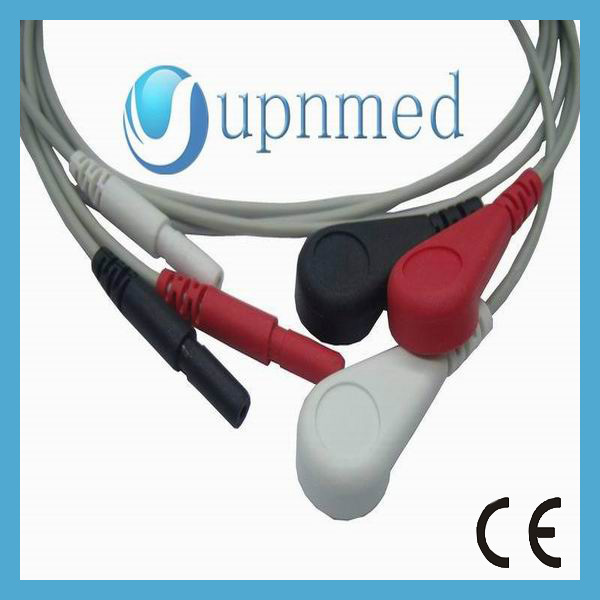 Din 3 leads..jpg