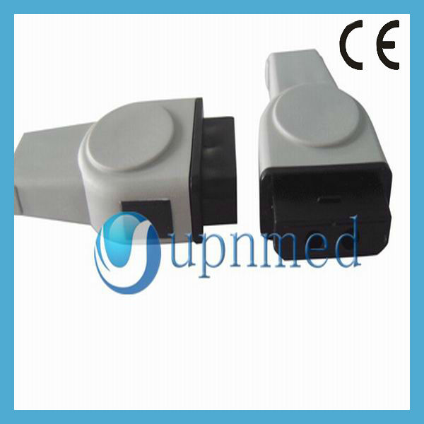GEDC4460.jpg