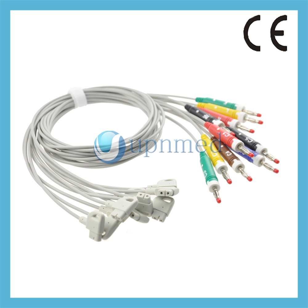 Philips 10-lead banana,IEC.jpg