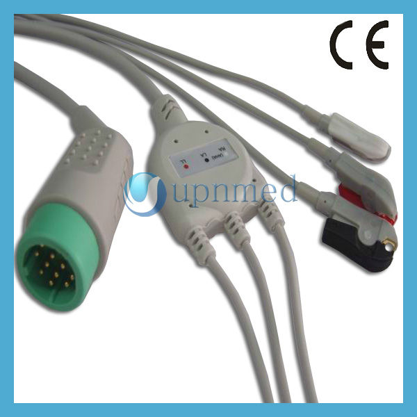 GEDC73321.JPG