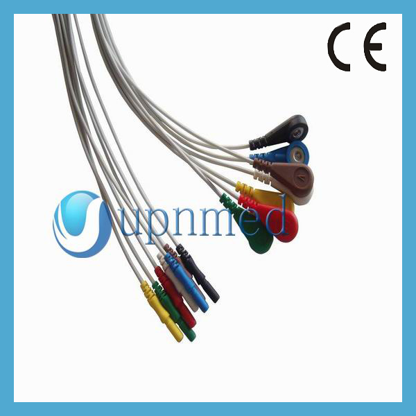 Holter 7 lead.jpg