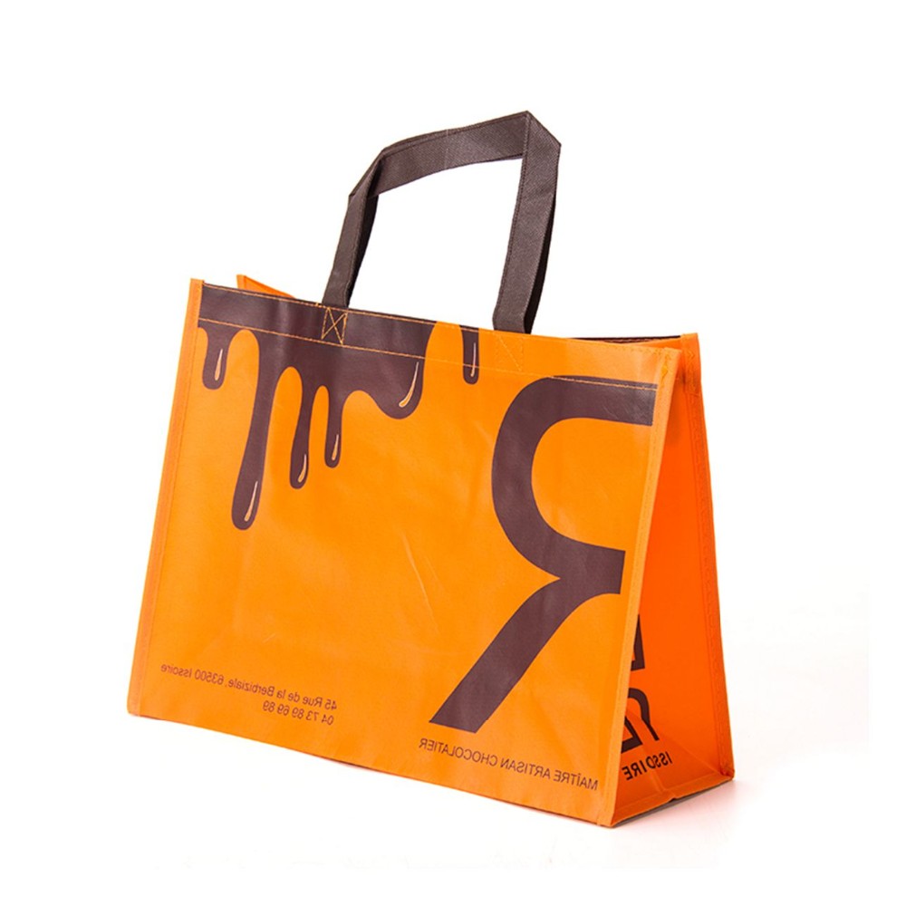 Non woven Bag-24